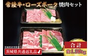 【常陸牛・ローズポーク焼肉セット(7～9人前)】 常陸牛 カルビ 約780g ローズポーク 約600g (ロース300g ばら300g)（茨城県共通返礼品・茨城県産）ブランド牛 茨城 国産 黒毛和牛 霜降り 牛肉 ブランド豚 豚肉 冷凍 焼肉