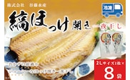 縞ほっけ 開き 一夜干し 真空パック 2Lサイズ 1枚 × 8袋 縞 ほっけ ホッケ 法華 開き 干物 加熱用 おかず 大洗 魚 魚介