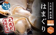 大洗産鹿島灘天然はまぐり 3kg 冷蔵 お吸い物 ハマグリ 蛤 貝 砂抜き処理 魚介類 大洗産 天然 はまぐり