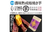 【先行予約】 濃味熟成 極焼き芋 1kg (250g×4p) 冷凍 真空パック 紅はるか 焼き芋 小分け 大洗産 茨城県産 国産 濃厚 熟成 やきいも 芋 茨城 べにはるか さつまいも お菓子 和菓子 スイーツ
