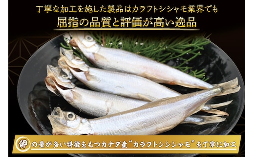 ししゃも雄雌食べ比べ ４ｋｇ セット 訳アリ シシャモ ししゃも カラフトししゃも 大洗 規格外 訳あり わけあり 傷 |  dショッピングふるさと納税百選