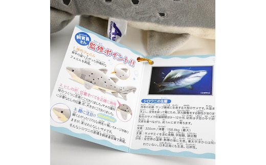 ぬいぐるみ シロワニ アクアワールド 大洗 オリジナル サメ グッズ 茨城 水族館 さめ 鮫 限定 | dショッピングふるさと納税百選