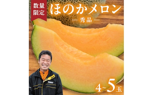 【先行予約 2026年5月下旬発送】 ほのかメロン 秀品（ 赤肉 ） 4玉 ～ 5玉 (2L～3L) メロン 果物 フルーツ 甘い 茨城県 茨城県産 期間限定 数量限定 産地直送 農家直送 [AV001ya]