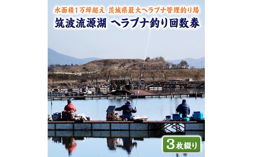 筑波流源湖ヘラブナ釣り回数券（３枚綴り） [AZ002ya]