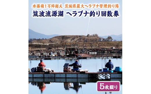 筑波流源湖ヘラブナ釣り回数券（５枚綴り） [AZ003ya]