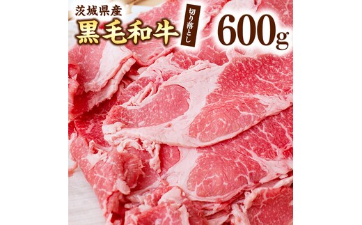 茨城県産 黒毛和牛 切り落とし 600g [AI011ya]