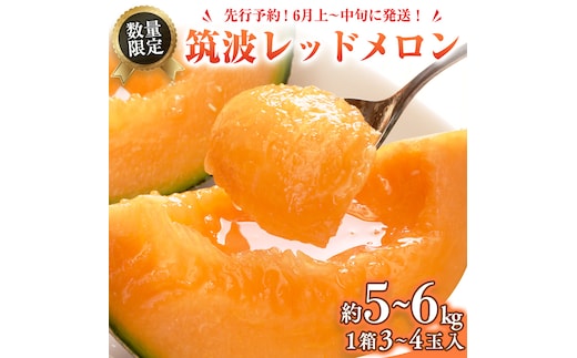筑波レッドメロン 1箱 3玉 ～ 4玉 入り（ 約 5kg ～ 6kg ）【2026年6月上旬以降発送】 赤肉 数量限定 メロン レッド 赤肉 甘い 期間限定 産地直送 果物 フルーツ [BU002ya]