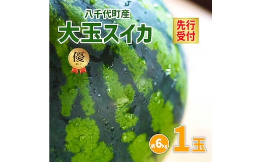 【 先行予約 2027年6月中旬以降発送開始】 令和8年産 八千代町産 大玉 スイカ 優以上 L1玉 （約 6kg ） 味の香 期間限定 産地直送 果物 フルーツ 西瓜 スイカ すいか 西瓜 甘い 夏 [AX017ya]
