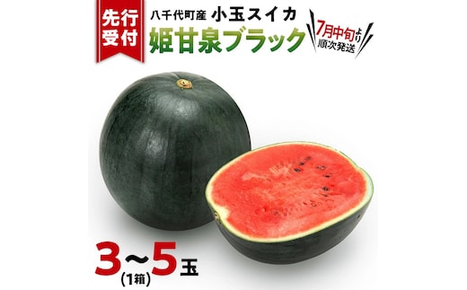 【先行予約 2026年7月中旬発送】 小玉スイカ 姫甘泉ブラック 1箱（３～5玉入り）八千代町産 黒皮 すいか スイカ 西瓜 小玉 果物 フルーツ お取り寄せ 産地直送 茨城県 [AV003ya]