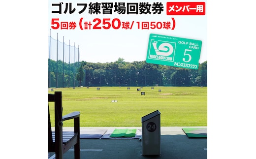 ゴルフ練習場回数券 5回券（250球） メンバー用 イベントやチケット ゴルフ場利用券 打ちっぱなし 回数券 アウトドア メンバー [CD001ya]