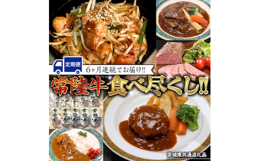 【茨城県共通返礼品】【定期便】 【6回コース】 常陸牛 食べ尽くし 定期便 （6ヶ月連続でお届け） 牛肉 黒毛和牛 国産 贅沢 ビーフシチュー ハンバーグ ローストビーフ 牛もつ ホルモン 簡単 お手軽 [AU035ya]