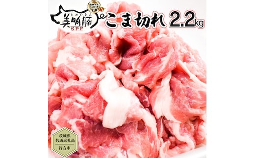 【茨城県共通返礼品／行方市】 美明豚 こま切れ 約2.2kg 豚肉 豚 SPF ブランド豚 こま切れ 煮物 牛丼 [CF013ya]