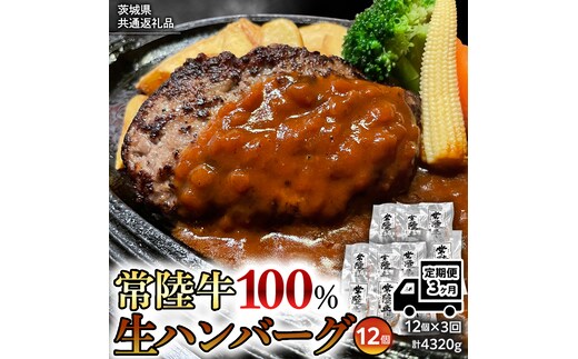 【茨城県共通返礼品】【３ヶ月定期便】 黒毛和牛 常陸牛 100% 特製 プレミアム 生ハンバーグ 120g×12個入り 合計1,440g 八千代町産 白菜 使用 無添加 無着色 保存料不使用 冷凍 牛 牛肉 ビーフ 生 ハンバーグ こだわり [AU055ya]