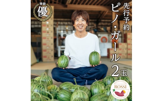 【 先行予約 2026年7月下旬以降発送 】 小玉 スイカ ピノ・ガール 2玉 優以上 NONAKA HIROSHI FARM すいか 西瓜 数量限定 甘い 夏 果物 旬 [AX029ya]