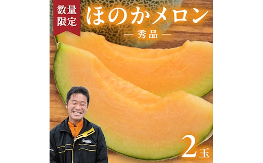 【先行予約 2026年5月下旬発送】 ほのかメロン 秀品 赤肉 2玉 メロン 果物 フルーツ 甘い 茨城県 茨城県産 期間限定 数量限定 産地直送 農家直送 [AV005ya]