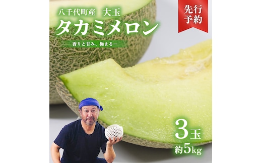 【 先行予約 2026年6月上旬以降発送】 令和8年産 八千代町産 タカミメロン 秀品 3玉 約5kg 期間限定 産地直送 果物 フルーツ メロン 甘い 人気 タカミ 貴味 [AX040ya]