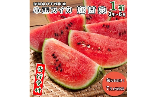 【 先行予約 2026年7月上旬発送】 八千代町産 小玉スイカ 姫甘泉 1箱 （3～6玉入り） すいか スイカ 西瓜 小玉 果物 フルーツ お取り寄せ 産地直送 茨城県 [AV002ya]
