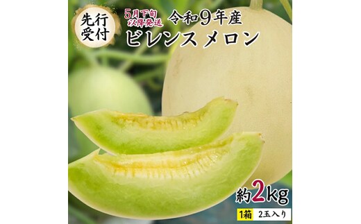 【 先行予約 5月下旬以降発送 】 令和9年産 ビレンス メロン 約2kg 1箱 2玉入り めろん 期間限定 産地直送 果物 フルーツ 青肉 甘い 新鮮 希少 ギフト [AV007ya]