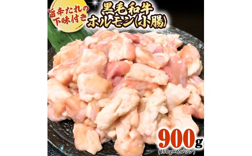茨城県産 黒毛和牛 ホルモン 小腸 900g （150g × 6パック） 旨辛たれ 下味付き BBQ バーベキュー 焼肉 冷凍 小分け [AU078ya]
