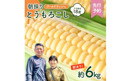 【先行予約 2026年6月中旬以降発送 】 【 令和8年産 】 【 訳あり 】 朝採り とうもろこし （ ゴールドラッシュ ） 約 6kg トウモロコシ スイートコーン コーン 野菜 産地直送 期間限定 岩田さん 昼めし旅 [AX021ya]