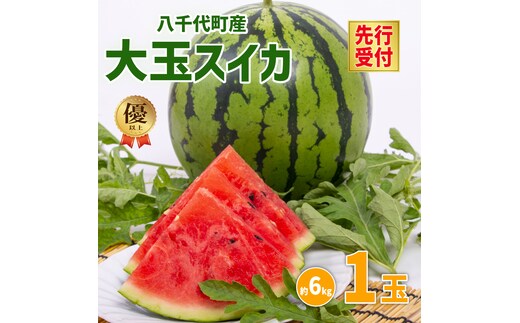 【 先行予約 2026年6月中旬以降発送開始】 令和8年産 八千代町産 大玉 スイカ 優以上 1箱 L2玉（ 1玉 約 6kg ） 祭ばやし777 期間限定 産地直送 果物 フルーツ スイカ すいか 西瓜 甘い 夏 [AX024ya]