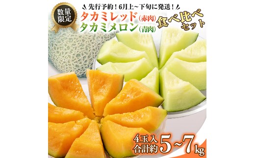 タカミレッド（赤肉）・タカミメロン（青肉）食べ比べ 2色 セット 合計4玉入り（約5kg～7kg）【2026年6月上旬以降発送】 期間限定 産地直送 農家直送 果物 フルーツ メロン タカミ たかみ 貴味 レッド 甘い 4玉 [BU003ya]