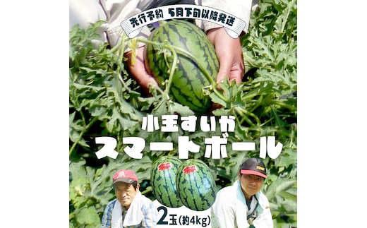 【 2026年先行予約 5月下旬 以降発送 】 小玉 すいか スマートボール 2玉 約 4kg スイカ 西瓜 フルーツ 果物 旬 ふるさと納税 10000円 八千代町 茨城 [CR002ya]