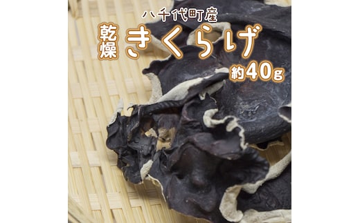 八千代町産 乾燥 きくらげ 約 40g キクラゲ 木耳 きのこ キノコ 乾燥 ふるさと納税 6000円 茨城県 八千代町 [CW002ya]