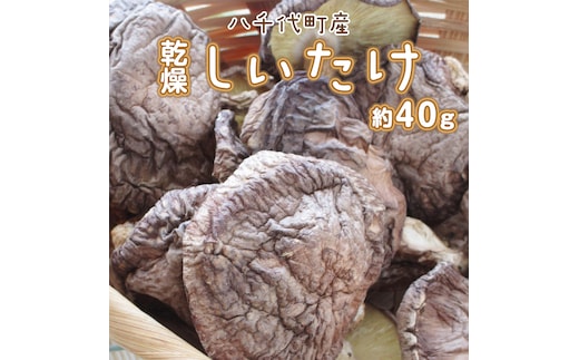 八千代町産 乾燥 しいたけ 約40g 椎茸 シイタケ きのこ キノコ 乾燥 ふるさと納税 6000円 茨城県 八千代町 [CW004ya]