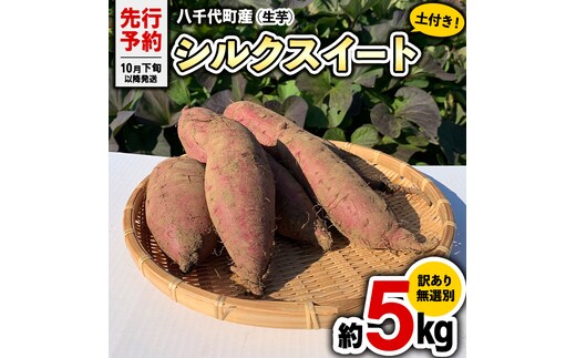 訳あり 無選別 八千代町産 シルクスイート 生芋 土付き 約 5kg さつまいも サツマイモ 芋 いも イモ ワケアリ 訳アリ 八千代町 ふるさと納税 5000円 【 先行予約 2025年10月下旬以降発送 】 [AX047ya]
