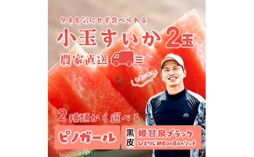 【 先行予約 2026年7月中旬以降発送 】八千代町産 黒皮 小玉スイカ 姫甘泉ブラック ひとりじめBonBonリッチ 1箱（2玉入） 黒皮 すいか 西瓜 [SF004ya]