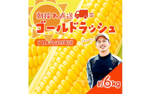 【 先行予約 2026年7月上旬以降発送 】【農家直送】 朝採り トウモロコシ ゴールドラッシュ 1箱 約6kg とうもろこし スイートコーン 産地直送 期間限定 甘い [SF018ya]