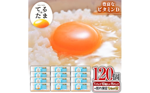 てるたま 白 10個入×11パック（割れ補償1パックサービス付）卵 玉子 ブランド卵 栄養 健康 卵かけご飯 厚焼き玉子 たまご焼き 目玉焼き ゆで卵 [DA002ya]