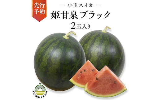 【 令和8年産 】【 先行予約 】小玉 スイカ 姫甘泉ブラック 1箱 2玉入り すいか 黒 西瓜 数量限定 甘い 夏 果物 [CG005ya]
