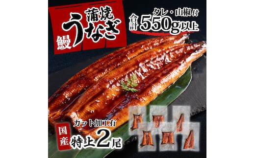 特上 国産 うなぎ カット 蒲焼 6枚 （ 2尾 分）セット 【合計550g以上】 たれ・山椒付き ウナギ 鰻 うな重 ひつまぶし 人気 茨城 八千代町 ふるさと納税 冷凍 [SF141ya]
