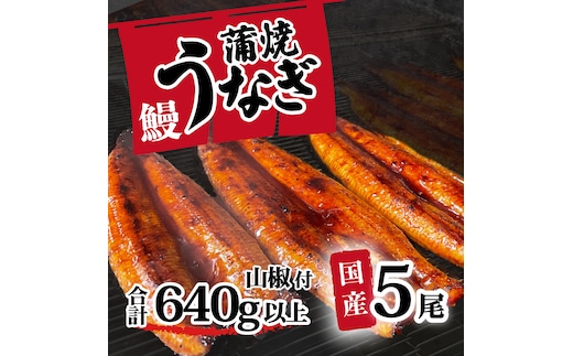 【 訳アリ 】 国産うなぎ 蒲焼き 5尾 セット ( 640g 以上) 大きさ の不揃い 山椒付き ウナギ 鰻 ふぞろい 不揃い うな重 ひつまぶし 人気 茨城 八千代町 ふるさと納税 冷凍 [SF143ya]