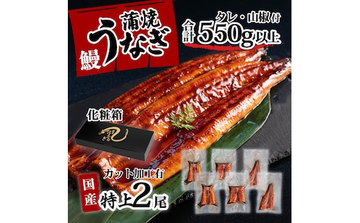 【化粧箱】特上 国産うなぎ カット 蒲焼 6枚 （ 2尾 分）セット 【合計550g以上】 たれ・山椒付き ウナギ うなぎ 鰻 うな重 ひつまぶし 人気 茨城 八千代町 ふるさと納税 冷凍 ギフト 化粧箱