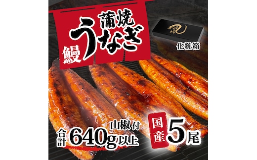 【化粧箱】【 訳アリ 】 国産うなぎ 蒲焼き 5尾 セット ( 640g 以上) 大きさ の不揃い 山椒付き ウナギ 鰻 ふぞろい 不揃い うな重 ひつまぶし 人気 茨城 八千代町 ふるさと納税 冷凍 ギフト 化粧箱