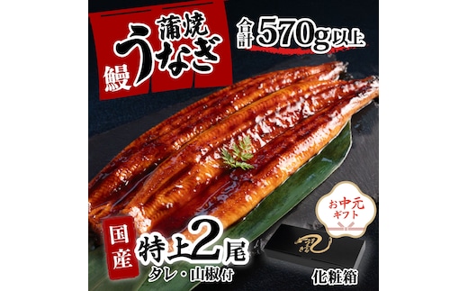【お中元】【化粧箱】特上 国産うなぎ 蒲焼 2尾セット 【合計570g以上】 タレ・山椒付 ウナギ 鰻 うな重 ひつまぶし 人気 茨城 八千代町 ふるさと納税 冷凍 ギフト 化粧箱 お中元 中元 熨斗