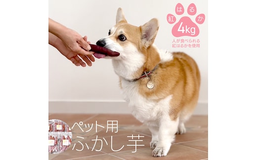 動物 ペットおやつ ペット用 ふかし芋 小芋 紅はるか 芋 いも おやつ 動物 ペットフード 犬 猫 間食 ヘルシー オヤツ 4kg [AU120ya]