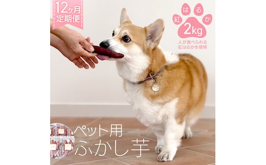 【12ヶ月定期便】動物 ペットおやつ ペット用 ふかし芋 小芋 紅はるか 芋 いも おやつ 動物 ペットフード 犬 猫 間食 ヘルシー オヤツ 2kg [AU123ya]