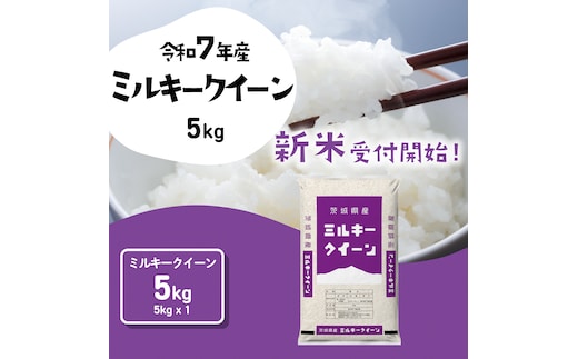 【12月発送】ミルキークイーン 5kg (5kgx1袋) 令和7年産 茨城県産 ミルキークイーン 白米 精米 茨城県 八千代町 お米 米 [SF549yai]