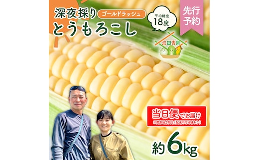 【関東+山梨県 限定当日便】【先行予約 2026年6月中旬以降発送 】 【 令和8年産 】 深夜採り 朝出荷 とうもろこし （ ゴールドラッシュ ） 約6kg トウモロコシ スイートコーン コーン 野菜 産地直送 期間限定 極甘 岩田さん 昼めし旅 [AX066ya]