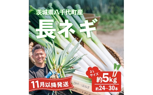 【先行受付 2026年11月以降発送開始】長ネギ 約5kg 2L 約24本～30本 茨城県産 八千代町産 野菜 農家直送 化成肥料不使用 有機肥料100% ねぎ 長ねぎ ネギ 旨味 認定農業者 8500円 [DJ002ya]