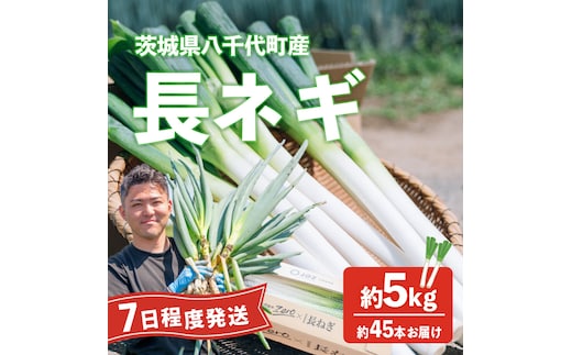 長ネギ 約5kg 約45本 茨城県産 八千代町産 野菜 農家直送 化成肥料不使用 有機肥料100% ねぎ 長ねぎ ネギ 旨味 認定農業者 9000円 [DJ003ya]