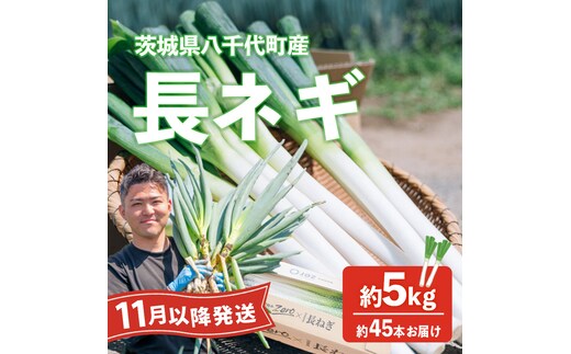 【先行受付 2026年11月以降発送開始】長ネギ 約5kg 約45本 茨城県産 八千代町産 野菜 農家直送 化成肥料不使用 有機肥料100% ねぎ 長ねぎ ネギ 旨味 認定農業者 9000円 [DJ004ya]