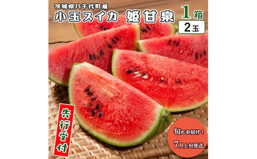【 先行予約 2026年7月上旬以降発送開始】 八千代町産 小玉スイカ 姫甘泉 1箱 （2玉入り） すいか スイカ 西瓜 小玉 果物 フルーツ お取り寄せ 産地直送 茨城県 [AV011ya]
