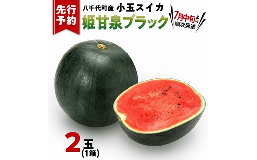 【先行予約 2026年7月中旬以降発送開始】 小玉スイカ 姫甘泉ブラック 1箱（３～5玉入り）八千代町産 黒皮 すいか スイカ 西瓜 小玉 果物 フルーツ お取り寄せ 産地直送 茨城県 [AV012ya]