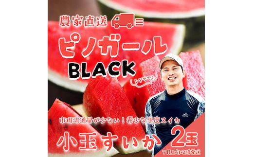 【 先行予約 2027年7月上旬以降発送 】八千代町産 黒皮 小玉スイカ ピノガールBLACK 1箱（2玉入）タネが小さい すいか [SF950ya]
