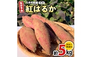 訳あり さつまいも 紅はるか 約 5kg 土付き 無選別 茨城 八千代町産 生芋 サツマイモ さつま芋 焼き芋 やきいも 芋 イモ 野菜 不揃い 規格外 長期熟成 おやつ デザート 秋 旬 農家直送 6000円 【 先行予約 2026年10月下旬以降発送 】 [AX046ya]